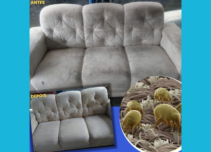 limpeza, sofas, higienizacao, lavagem, tapetes, cortinas